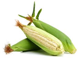 Maize